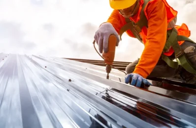 Travaux de zinguerie à Viodos-Abense-de-Bas